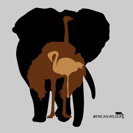 Vector group of african animal label, Africa wildlife.のイラスト素材