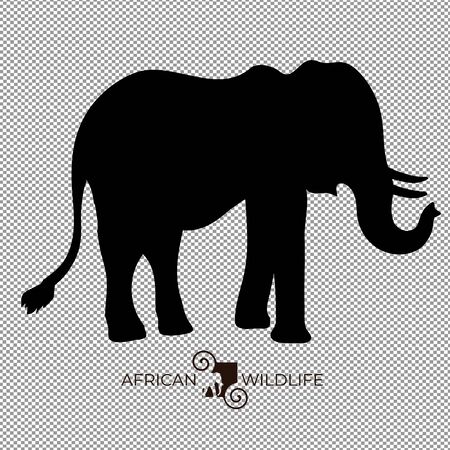 Vector of elephant, africa wildlife.のイラスト素材