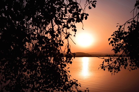 SUN IS RISING  BETWEEN THE TREE BRANCHES VIEW IN MORNINGの写真素材