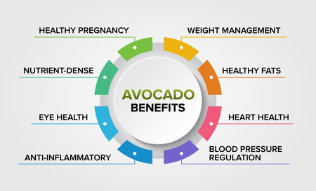 Avocado health benefits vector icons set infographic illustration background poster. Healthy Fruit.のイラスト素材