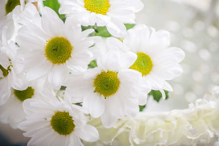 close up of spring white flowers in basketの写真素材