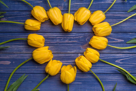 flowers tulips yellow bouquet heart shape on blue backgraundの写真素材