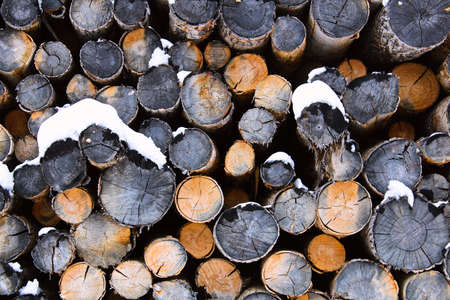 Abstract pile of logs during winter.の写真素材
