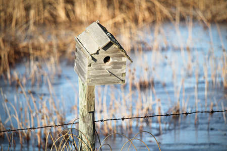 Closeup of a bird house.の写真素材