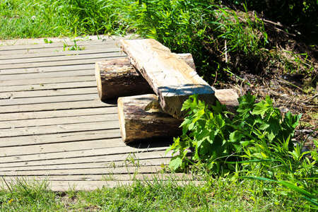 A split log wooden bench on a boardwalk trail.の写真素材