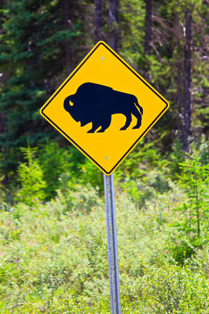 A yellow bison warning sign along the highway.の写真素材