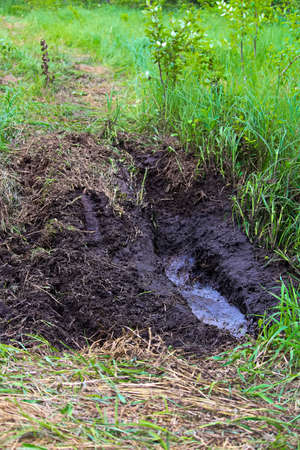 A muddy country atv route.