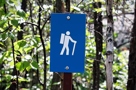 A blue hiking trail marker on a tree.の写真素材