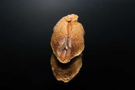 The top view of a praying mantis ootheca with a mirrored reflection isolated on a black background.の写真素材