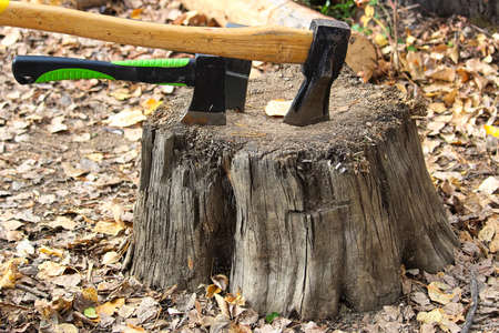 Three different sized axes being stored on a chopping stump.の写真素材
