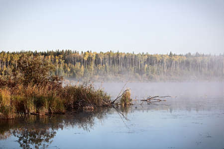 Morning mist rising off of Alberta Lake.の写真素材
