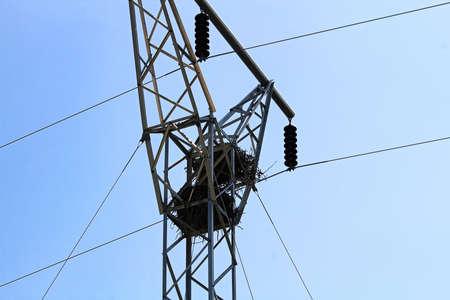 Two raven nests at the top of a power pole towerの写真素材