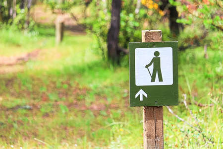 A hiking path sign with a forest in the background.
