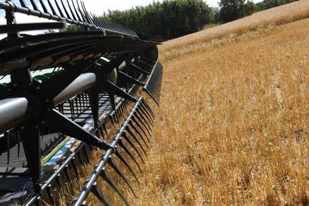 BONNYVILLE, ALBERTA, CANADA - SEPTEMBER 12, 2020: Closeup view of John Deere tines on a combine parked during harvestのeditorial素材