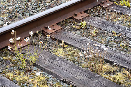 Side view of a old train track plate, spikes, rail and sleepersの写真素材