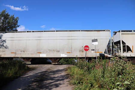 A train speeds past a stop sign at a crossingの写真素材