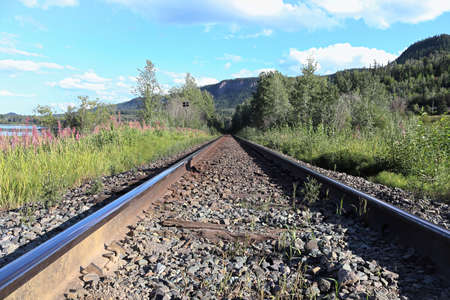 The shiny top view of a rail on a train trackの写真素材