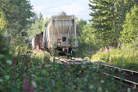 The back end of a train as it goes through a wooded areaの写真素材