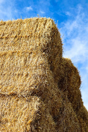 A stack of square hay bales against a blue sky