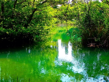 National park Krka. Croatiaの素材