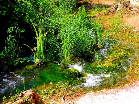 National park Krka. Croatiaの素材