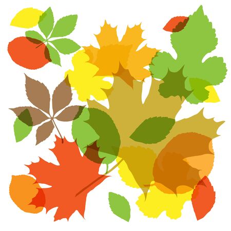 Fall Autumn backgroundのイラスト素材