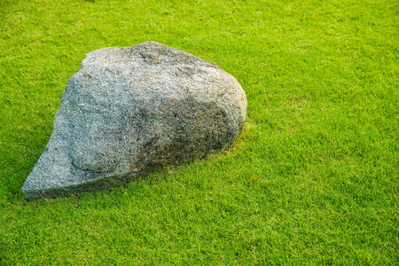 stone on green grassの写真素材