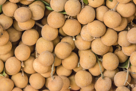 A number of Longan in fruit marketの写真素材