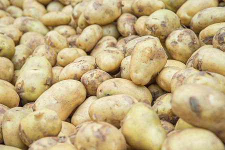 potatoes raw vegetables food in market for pattern texture and backgroundの写真素材
