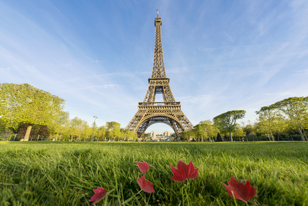Sunny morning and Eiffel Tower, Paris, Franceの写真素材
