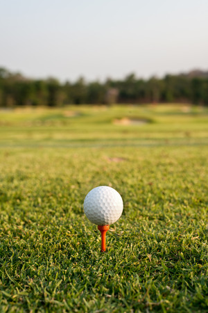 Golf ball on a tee against the golf course. Close up at golf ball and teeの写真素材