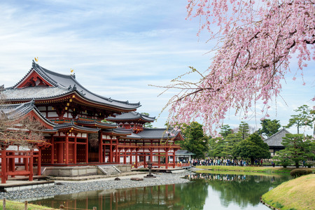 Byodo-in Temple in Uji, Kyoto, Japan during spring. Cherry blossom in Kyoto, Japan.のeditorial素材