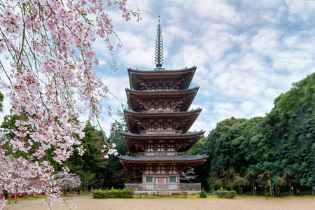 Five Storied Pagoda with Japan cherry blossom in Daigoji Temple in Fushimi Ward, Kyoto City, Japan. Cherry blossom season in Kyoto, Japanのeditorial素材