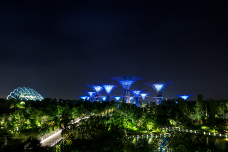Supertree garden at night, Garden by the Bay, Singaporeのeditorial素材