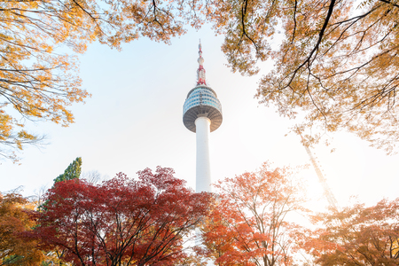 Seoul Tower with yellow and red autumn maple leaves at Namsan mountain in South Korea.のeditorial素材