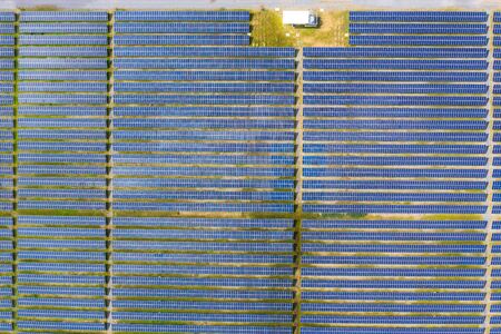 Solar energy farm producing clean renewable energy from the sun . Thousands of solar panels,...