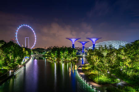 Supertree Grove forest in Gardens by the Bay illuminated with Singapore flyer ferris wheel at night. Asian tourism, modern city life, or business finance and economy concept.のeditorial素材
