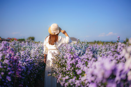 Asian young happy traveler asian woman with dress sightseeing on Margaret Aster flowers field in garden in winter season at Chiang Mai, Thailand.の写真素材