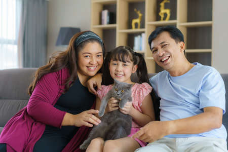 Happy Asian family time playing with their cat in the living room on the couch or sofa at home.の写真素材