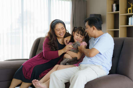 Happy Asian family time playing with their cat in the living room on the couch or sofa at home.の写真素材