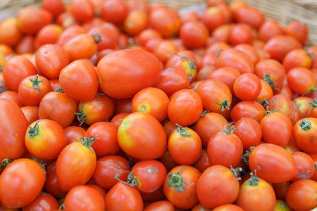 A close-up of a large pile of bright red ripe tomatoes, with a focus on their fresh, juicy quality and vibrant color, ready for culinary useの写真素材