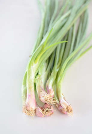 Spring Onion on white backgroundの写真素材