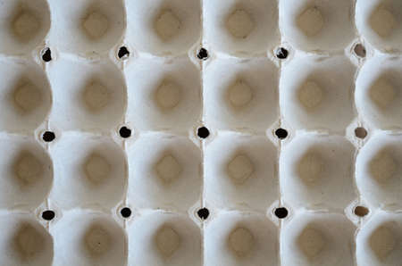 paper egg tray for backgroundの写真素材