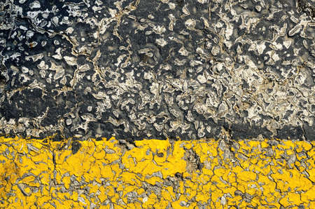 crosswalk yellow and black crackedの写真素材
