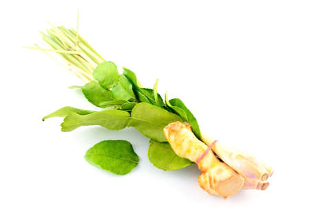 herb for healthの写真素材