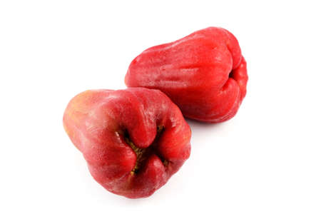 rose apple on whiteの写真素材
