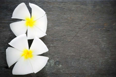 frangipani flower on wooden floorの写真素材