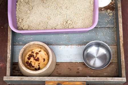Close up Cat toilet and food water on the wooden tray background.の写真素材