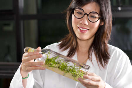 Check growth level, Laboratory girl checking growth level of plants.の写真素材