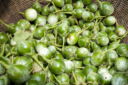 green eggplant, pile of small round green eggplant in basket.の写真素材